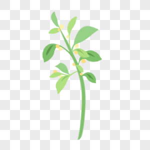 植物1图片