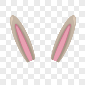 兔耳1图片