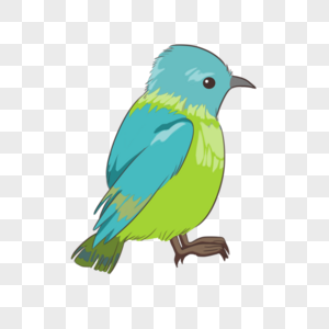 侧面鸟2蓝绿高清图片