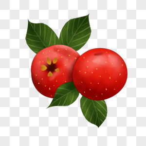 山楂果子红色的果子高清图片