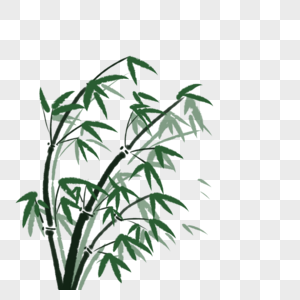 绿色竹子端午节高清图片素材