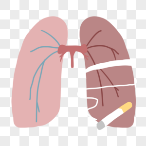 被污染的肺被烟雾困住的肺高清图片