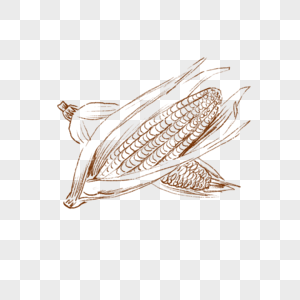 玉米玉米手绘高清图片