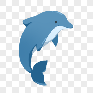 海豚海豚表演高清图片