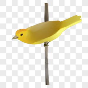 鸟绘画黄羽色高清图片