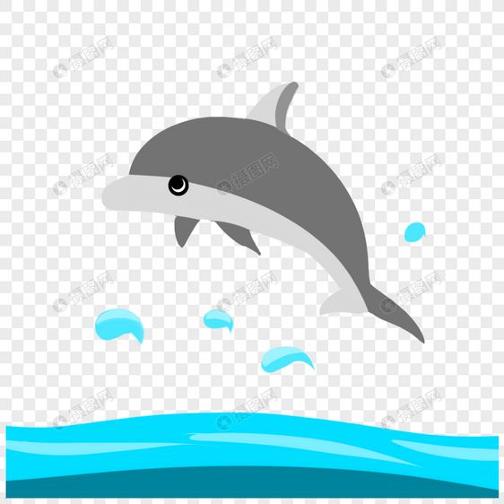 海洋可爱小海豚图片