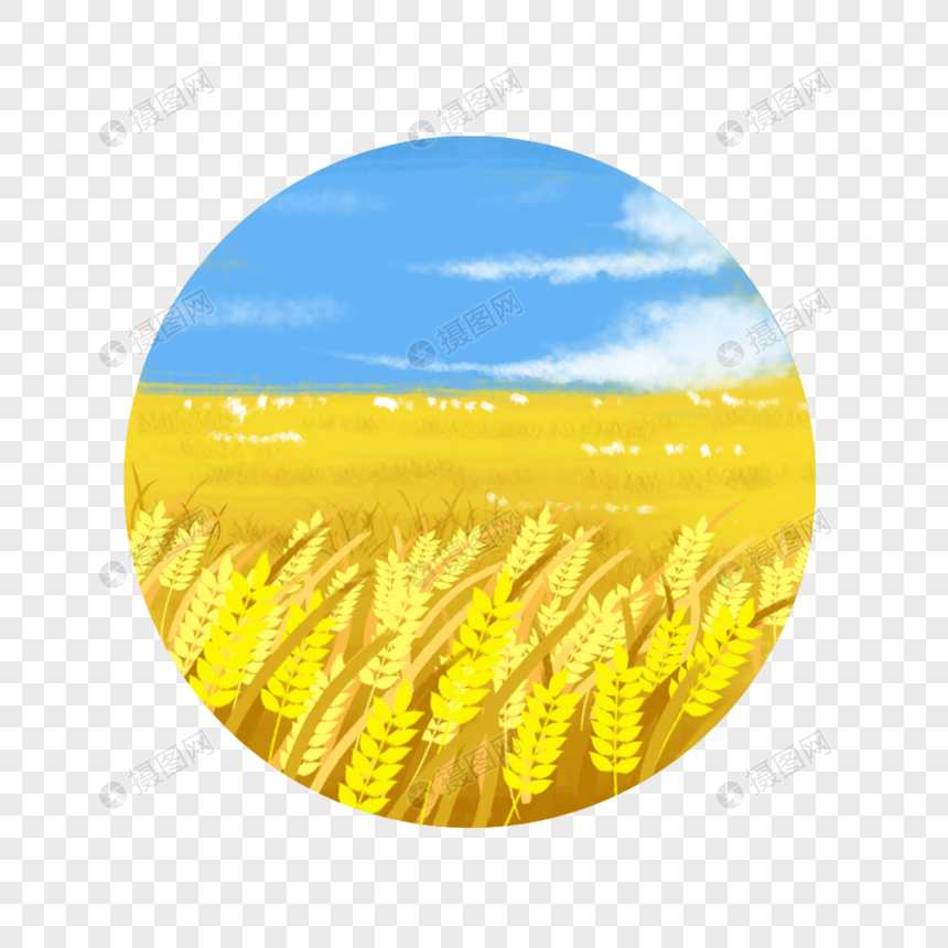 麦浪