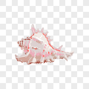 粉色海螺图片
