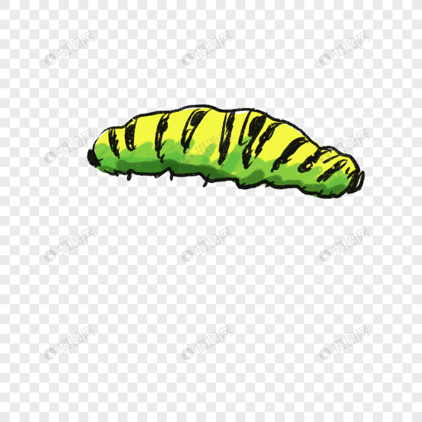 手绘卡通菜青虫猪儿虫