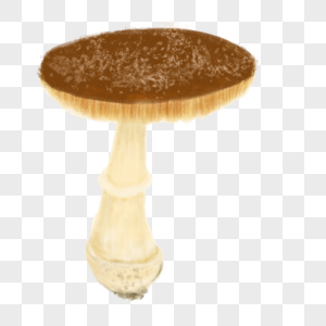 蘑菇鹅膏背景高清图片