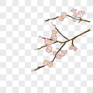盛开的梅花梅花树干高清图片