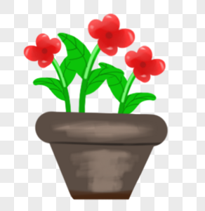 小红花盆栽图片