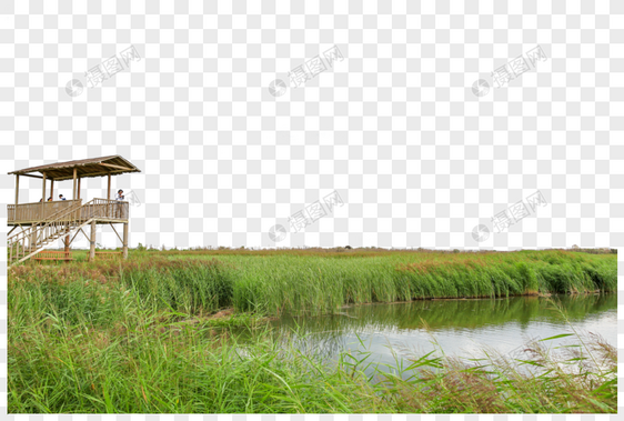 甘肃张掖湿地公园图片
