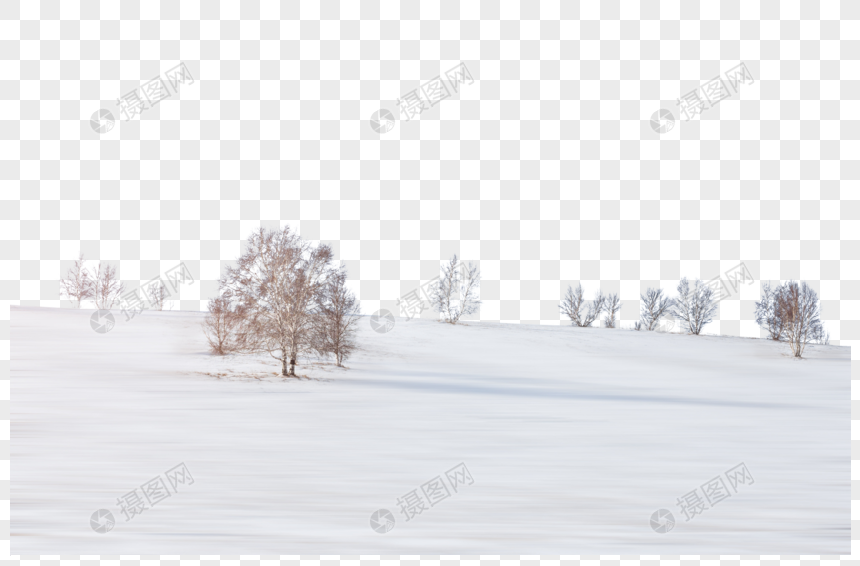 雪地中的树木图片