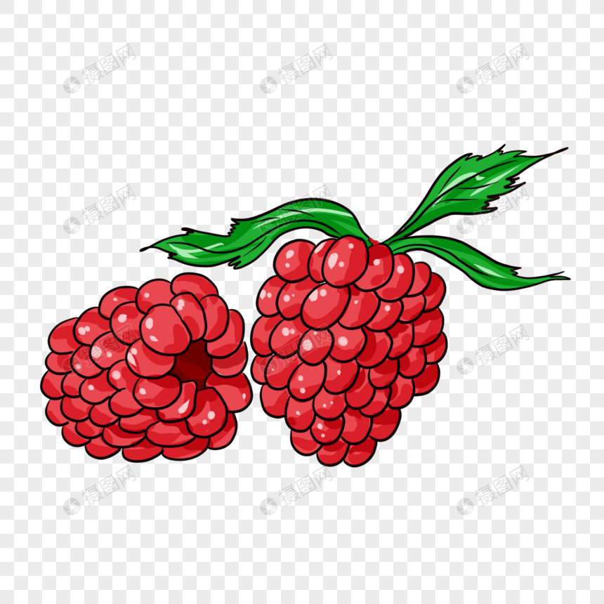 树莓图片