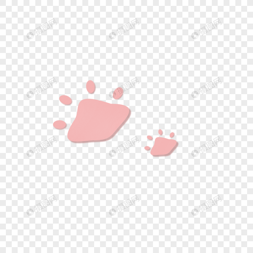 猫爪