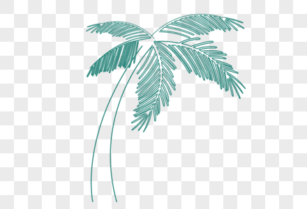 线描棕榈树图片
