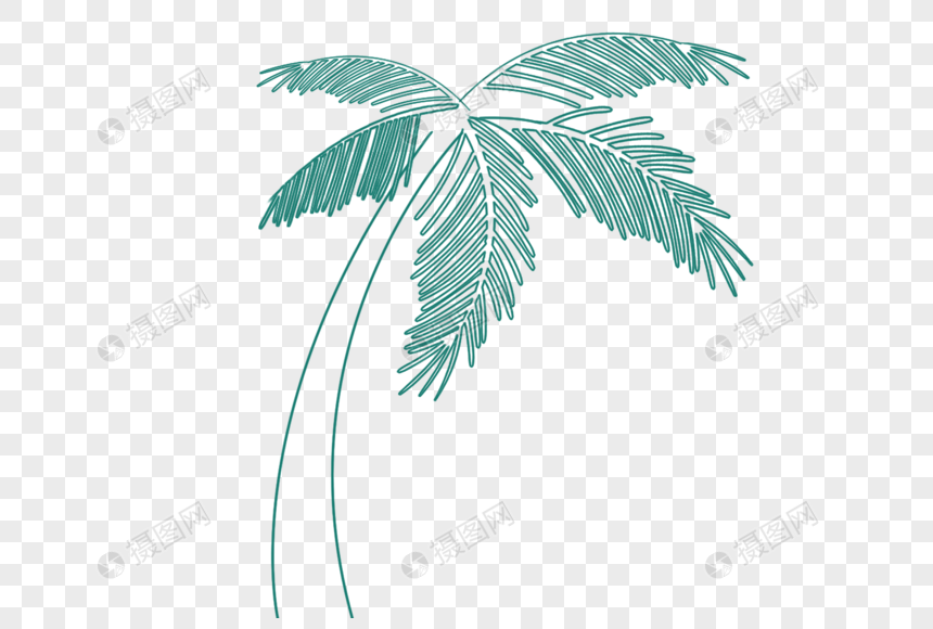 线描棕榈树