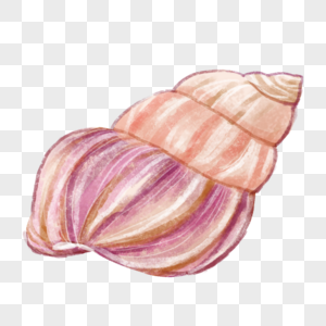 紫色大海螺素材大海螺高清图片