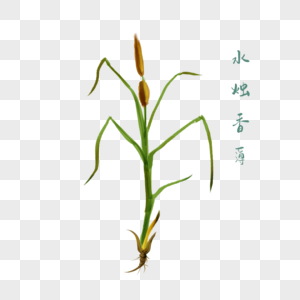 创意草药水烛香薄插图图片