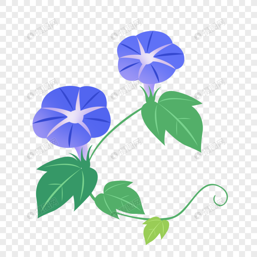 牵牛花元素素材下载-正版素材401278983-摄图网