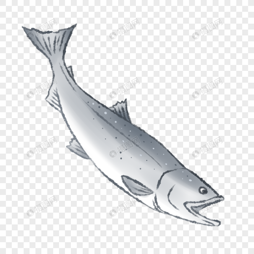 海鱼