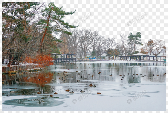 北海道旭川公园风光图片