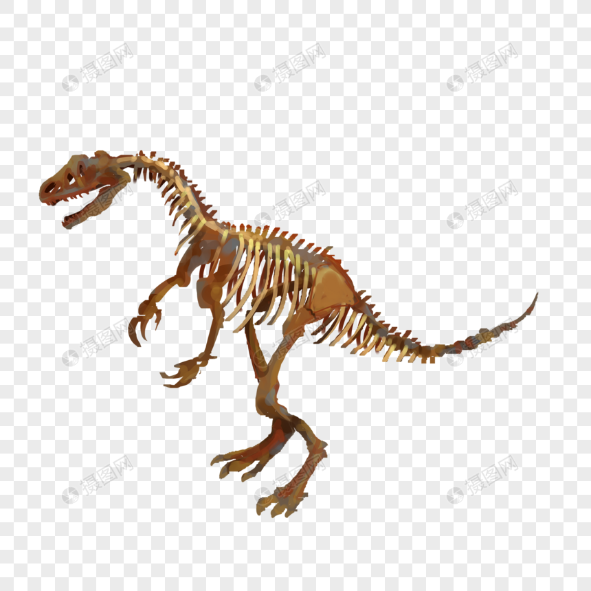 恐龙骨骼化石免抠元素图片
