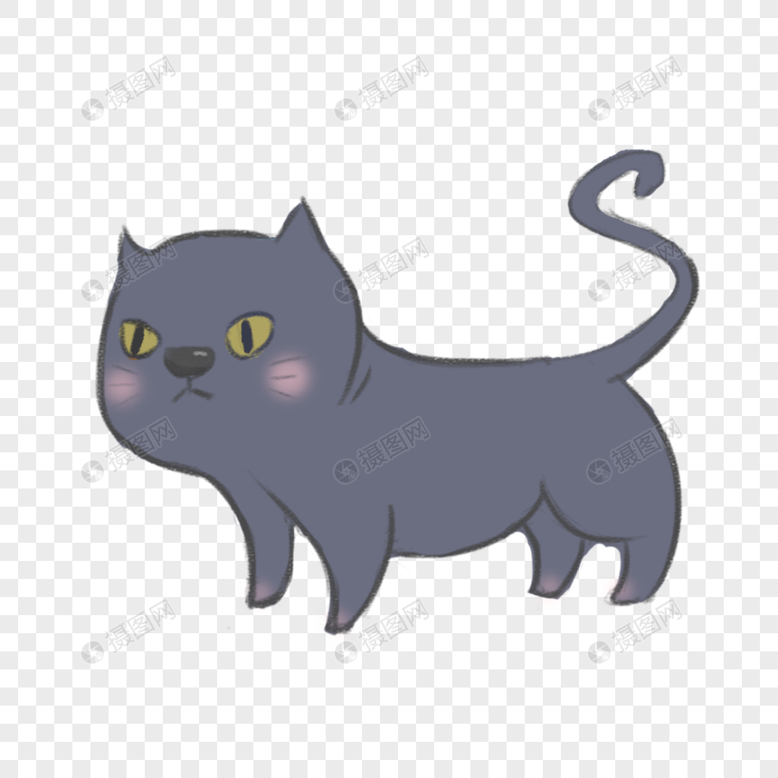 英短猫蓝猫
