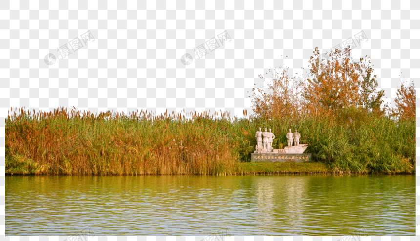 泗洪洪泽湖湿地公园图片