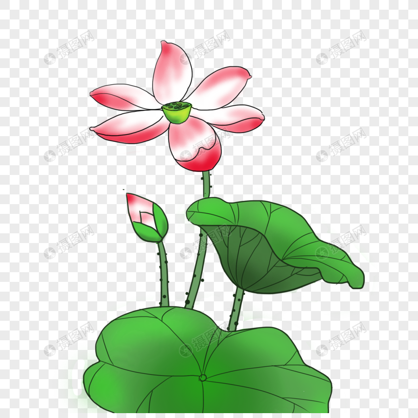 手绘卡通荷花png免抠素材