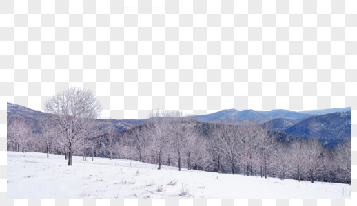 东北雪乡森林图片