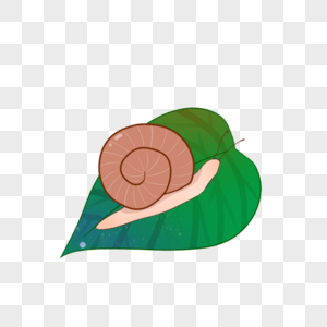 卡通蜗牛在绿叶上插图高清图片
