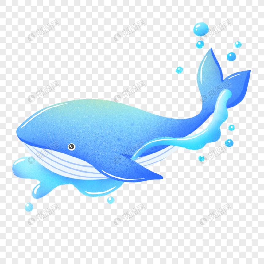 世界海洋日保护海洋动物鲸鱼图片