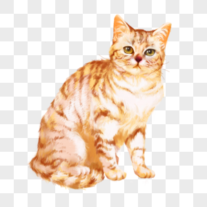 猫咪黄猫橘猫可爱宠物元素高清图片