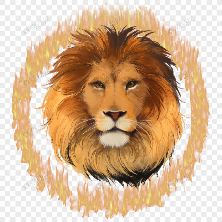 狮子火圈动物凶猛野兽马戏团手绘元素