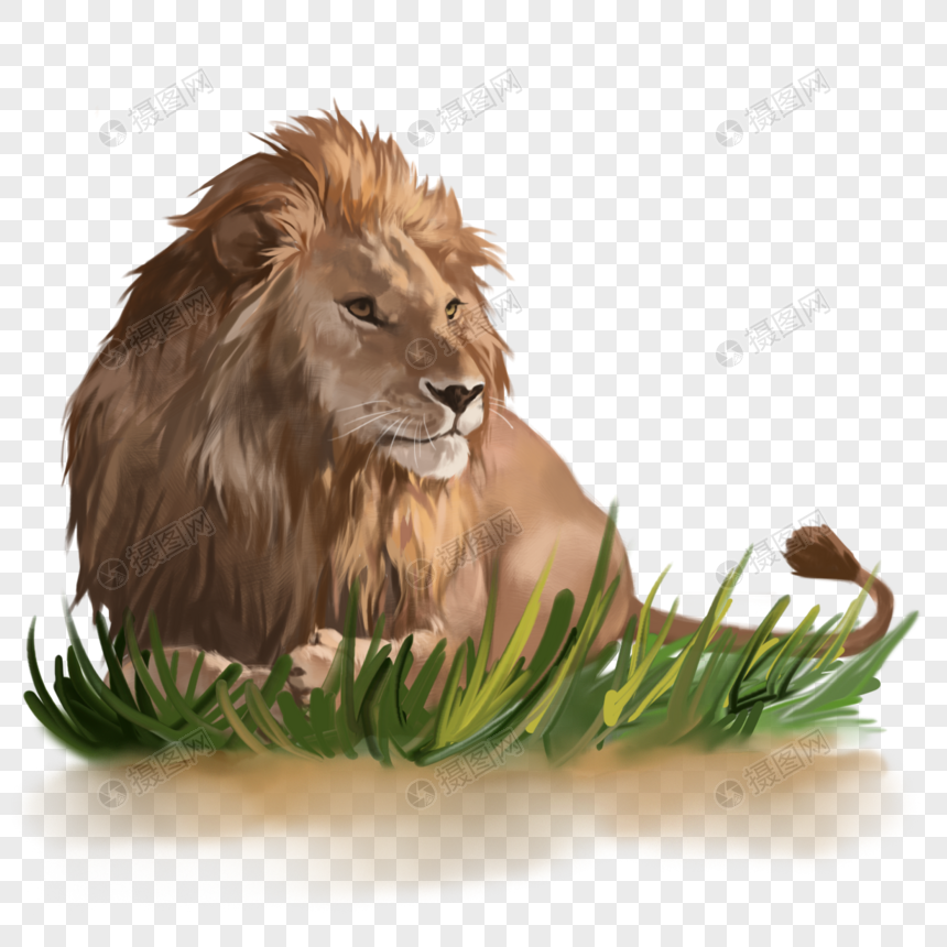 免抠元素 手绘/卡通元素 狮子动物猛兽森林之王凶猛手绘元素.