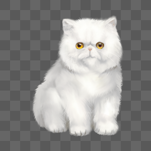 加菲猫白猫猫脸素材高清图片