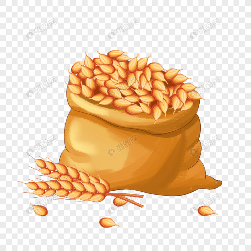 一袋金色的麦子图片