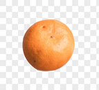 一个橘子图片