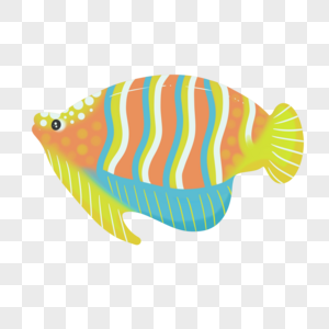 彩色的鱼彩色海洋鱼类高清图片