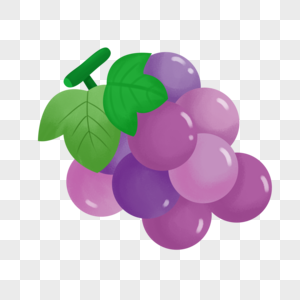葡萄水果植物高清图片