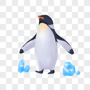 企鹅南极海洋高清图片