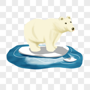 北极熊保护海洋高清图片