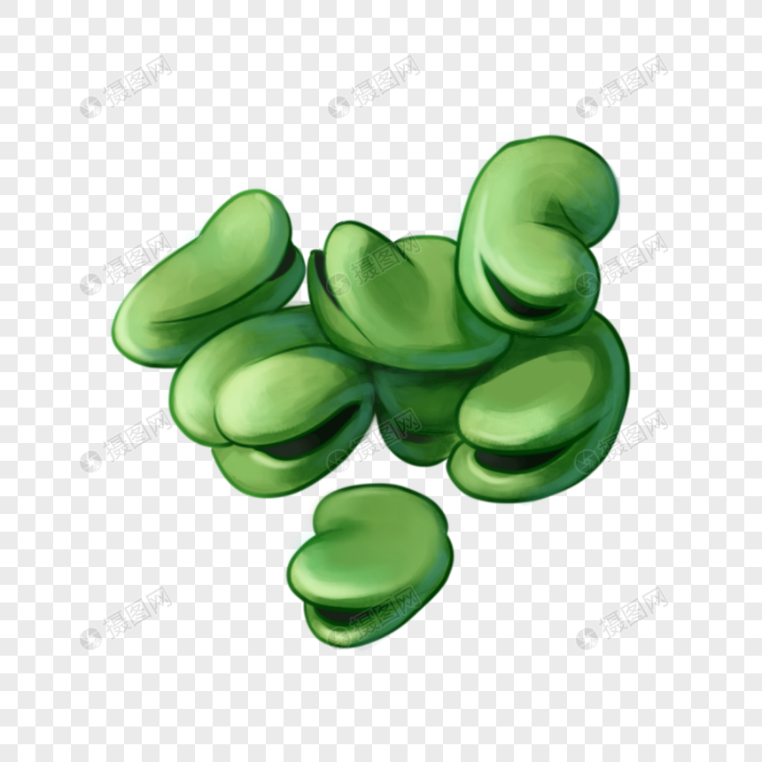 蚕豆