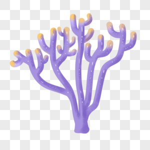 紫色珊瑚图片