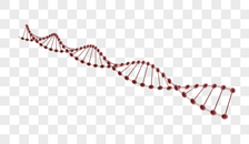 DNA基因链条图片