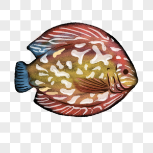卡通花斑鱼类插图图片