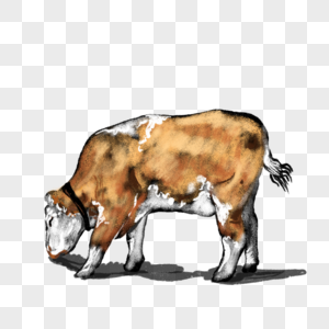 卡通动物牛插图高清图片