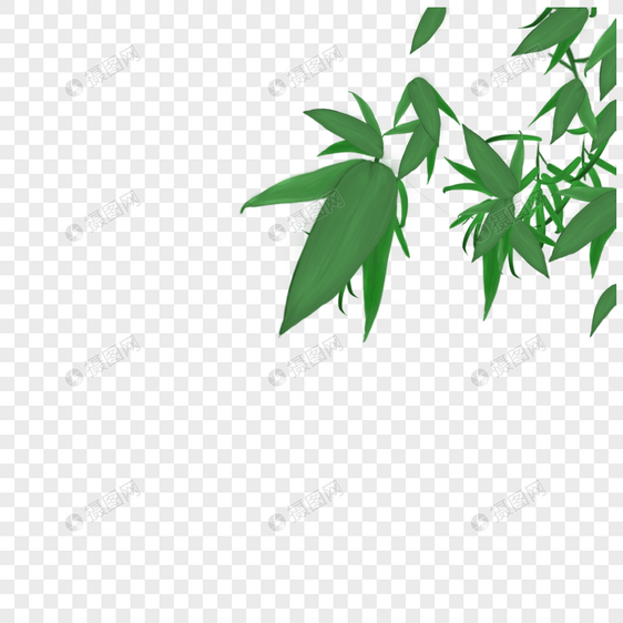 竹子叶图片
